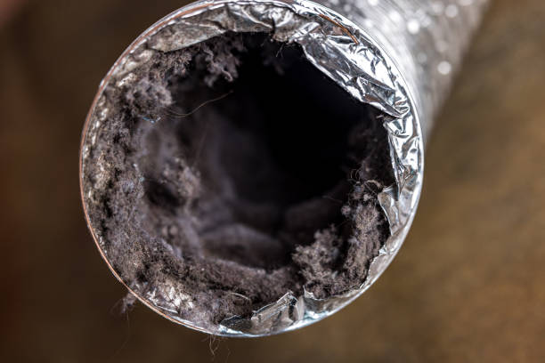 Best Local Air Duct Cleaning Services  in Gibbon, NE