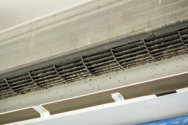 Best Affordable Air Duct Cleaning  in Gibbon, NE