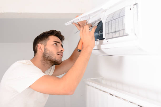 Best Air Duct Mold Removal  in Gibbon, NE